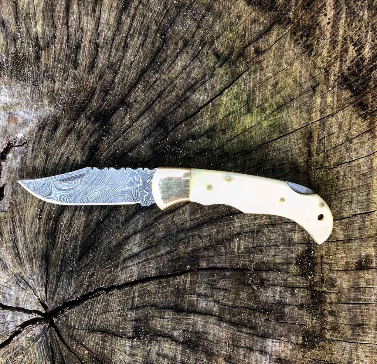 Camel Bone Lockback- VG27 - Image 2